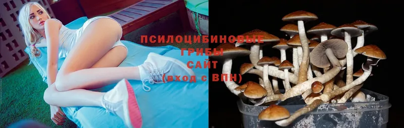 Галлюциногенные грибы Magic Shrooms Волчанск